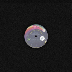 When You Feel Like Giving Love (dial My Number) I've Just Begun To Love You by Dynasty, the sleeve