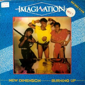 Burning Up - New Dimension by Imagination, the sleeve
