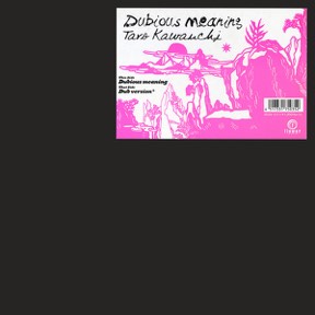 Dubious Meaning by Taro Kawanchi, the sleeve