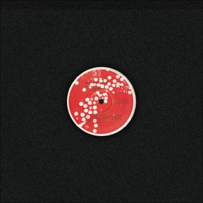 Talkative Minds Ep by Needs, the sleeve