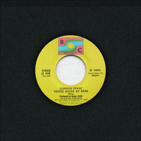 Voices Inside My Head by Common Sense, the sleeve