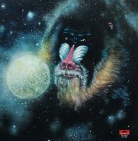 Mandrill Is by Mandrill, the sleeve