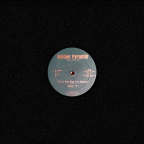 Do It Any Way You Wanna by Mike T, the sleeve