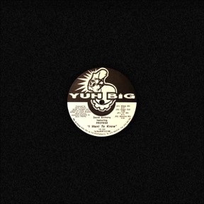 I Want To Know by David Anthony Featuring Protégé, the sleeve