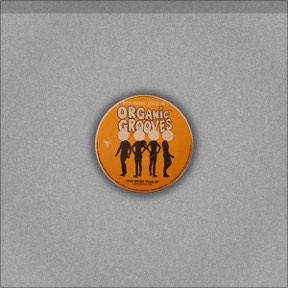 Funky Not Stinky - Pop Music Plug In by Organic Grooves, the sleeve