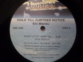 Hold Till Further Notice by Kat Mandu, the sleeve