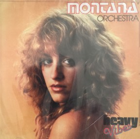 Heavy Vibes by Montana Orchestra, the sleeve