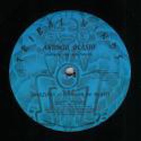 Tribal Winds Amazona Corazon De Brasil by Antonio Oeasio, the sleeve