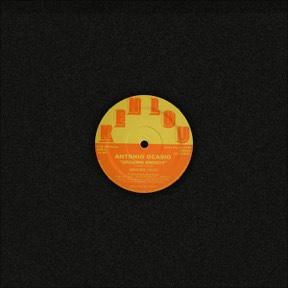 Organic Energy by Antonio Ocasio, the sleeve
