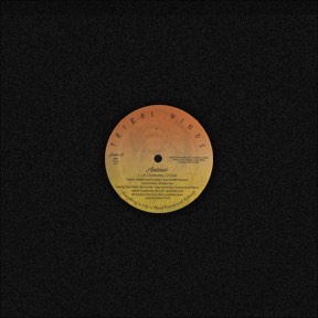 A Celebration Of Life by Antonio, the sleeve