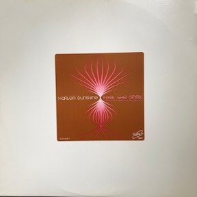 Feel The Spirit by Harlem Sunshine, the sleeve